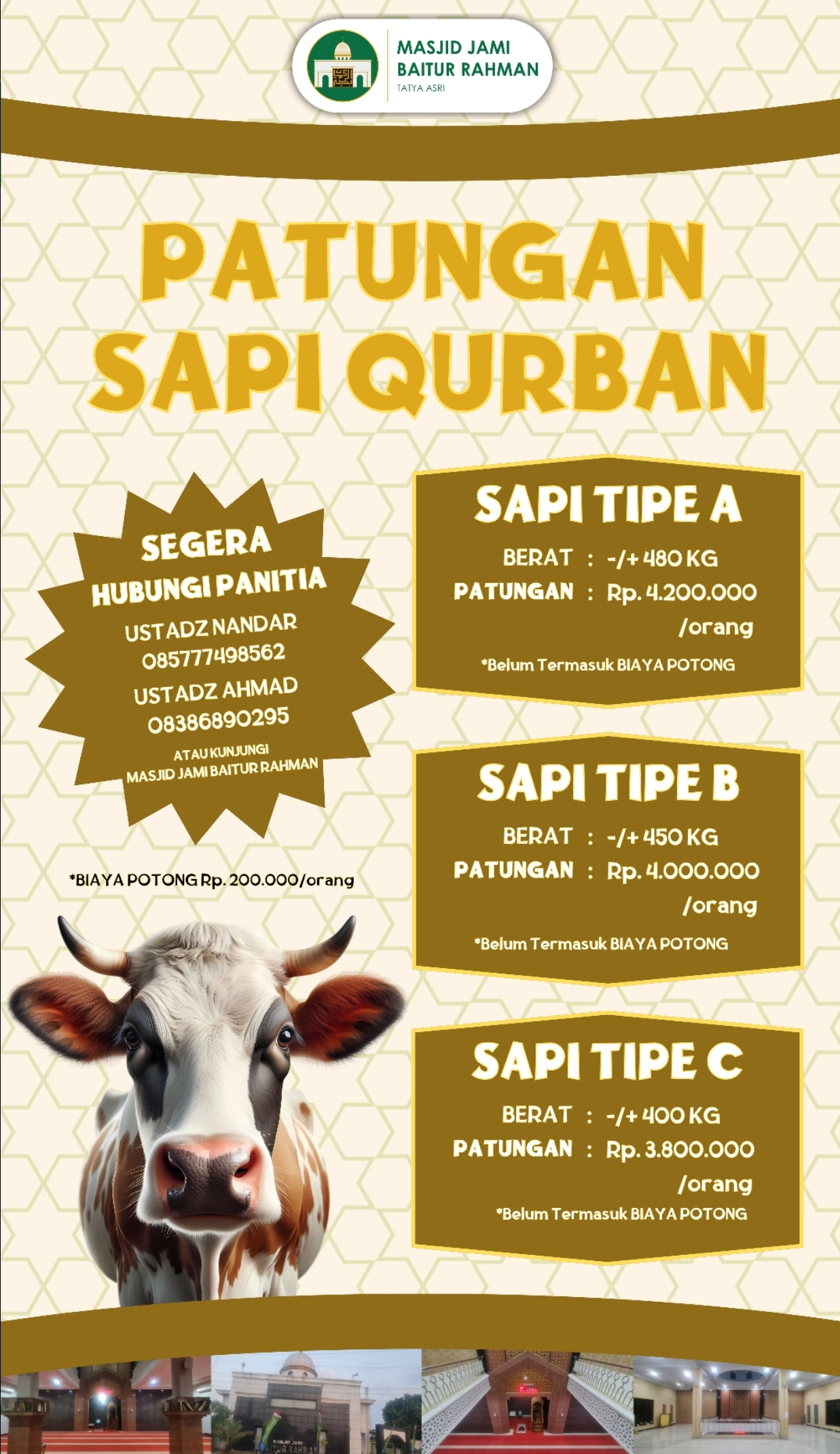 Patungan Sapi Qurban